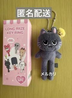 RIIZE ウォンビン トニャンドク ロング キーリング