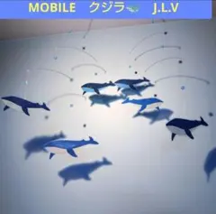 Item thumbnail for item b598a8bb-cfc7-4d46-9cf2-97820a767491