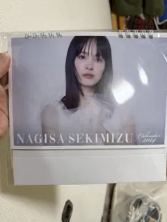 関水渚 2023年 カレンダー 新品未開封 関水渚 2023年 カレンダー 新品未開封