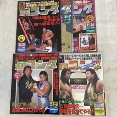 週間ゴング15冊＋週間プロレス1冊　計16冊セット 週間ゴング15冊＋週間プロレス1冊 計16冊セット 週間ゴング15