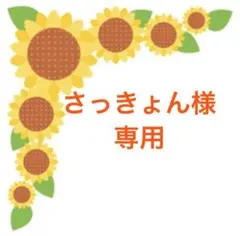 STOKKE ストッケトリップトラップベビーセット2専用ハーネス2