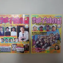 輝け甲子園の星 2冊セット2003年早春号　2004 年秋季号