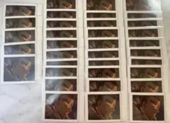 名探偵コナン　大和敢助　ぱしゃこれ　隻眼の残像