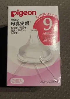 Item thumbnail for item 7e84621c-1e41-4372-984a-f4de144cc79f