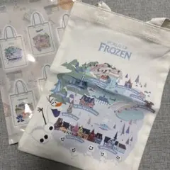 香港ディズニーランド ミステリートートバッグ　ワールドオブフローズン