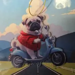 akinko102000様 リクエスト 3点 まとめ商品