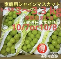 3️⃣ 山梨県産 シャインマスカット 8房入り 箱込5.5キロ - メルカリ