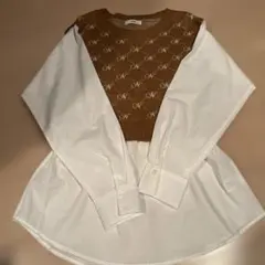 Item thumbnail for item e2fbd92b-b3cb-4e10-95fc-99bae4ecb0cd