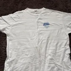 WEGO STANDARD Gelato Sherbet Tシャツ Lのサムネイル