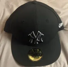 Item thumbnail for item 9812cab4-c2f6-41f1-9f62-73951647f31c