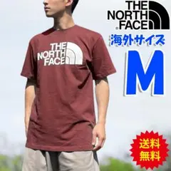 ノースフェイス Tシャツ ブラウン メンズ 半袖 海外M 日本L相当 bhr