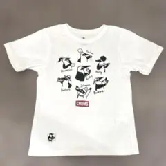 CHUMS チャムス　kids Tシャツ L 美品のサムネイル
