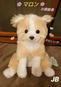 2025年最新】くったりボーダーコリーおりこうさんの人気アイテム