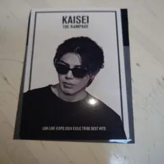 25594 THE RAMPAGE武知海青さんフォトカード新品