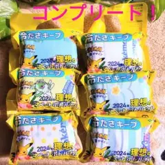 ポケモン　ペットボトルカバー　サマーバージョン✨　伊藤園