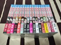 Item thumbnail for item 830d6c7d-389f-4458-a497-41c0ce93c78b