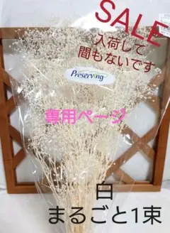 のぶたん様　専用ページ