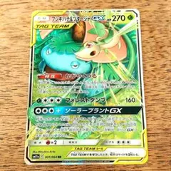 ポケモンカード フシギバナ＆ツタージャGX RR 1枚