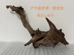 2026年最新】ブランチウッドの人気アイテム - メルカリ