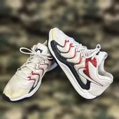 日本未発売　NIKE KD17 USA オリンピック28cmのサムネイル