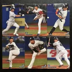 プロ野球チップス2021第1弾　レギュラーカード東京ヤクルトスワローズまとめ売り