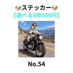 【3枚500円】ステッカー　シベリアンハスキー　バイク　犬　No.54