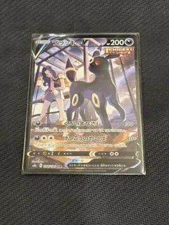 ブラッキーV CSR