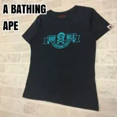 Item thumbnail for item 817bd3f1-d8aa-4cd0-bbf9-f96087fbc510