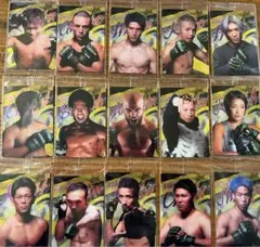 RIZINウエハース 2024 バラ売りも可能