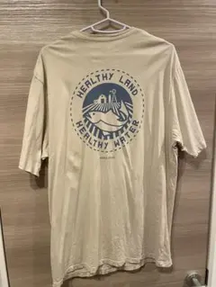 patagonia Healthy Land Tシャツ M
