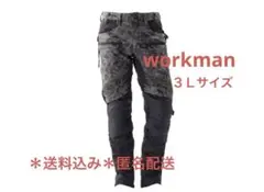 ワークマン フィールドコア コーデュラユーロライディングパンツ HP014