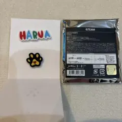 Item thumbnail for item 29c8ce6b-f328-4209-acb9-748e98c75a36