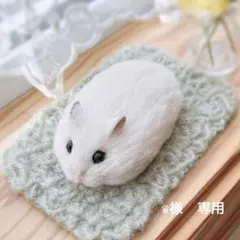 ♛様　専用