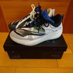 PUMA ALL-PRO NITRO 2 