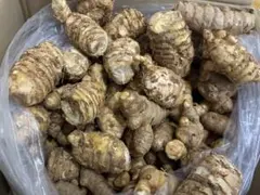 専用出品 農薬不使用 ひね生姜15kg一口目 - メルカリ