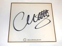 キカイダー01（池田駿介）キカイダー（伴大介）サイン色紙＆キカイダー
