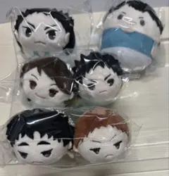 及川徹 岩泉一 松川一静 花巻貴大 金田一勇太郎 ハイキュー!! まとめ売り