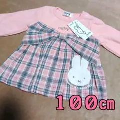 Item thumbnail for item 68a4e2bf-9690-4b91-b873-84d17fa08adb