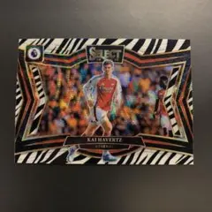 Havertz Arsenal Select ZEBRA