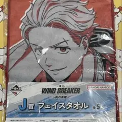 ウィンドブレーカー 梅宮一 セット