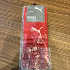 PUMA TEAMFINAL 21 SOCKS 27cm