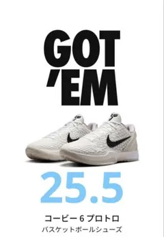 コービー 6 プロトロ バスケットボールシューズ