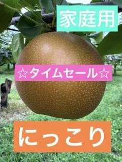 ⚠️kei♡様専用⚠️茨城県産 梨/恵水 秀品/3キロ 大玉 - メルカリ