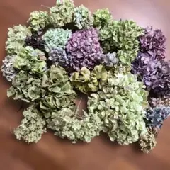 ドライフラワー｛アジサイ、カシワバアジサイ、シラン｝ 花材 リース