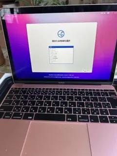 【極美品】MacBook 2016 充放電65回 可愛いローズゴールドPCのサムネイル