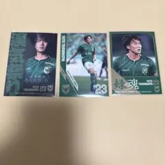 2025 東京ヴェルディ トレーディングカード 直筆サインカード 新井悠太 新井悠太 東京ヴェルディ 2025 カードフェスタ3等 直筆サイン