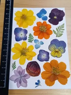 Item thumbnail for item 4b15a339-4d2a-47b6-9ac3-8dfba0847dfb