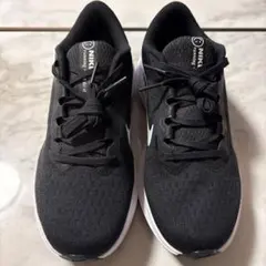 Item thumbnail for item 0eea25d5-fdb5-425e-a23c-dc0d07001ed1