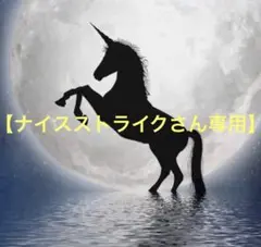 ナイスストライクさん専用商品