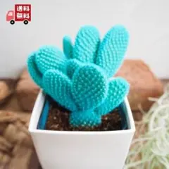 ポセイ丼様 リクエスト 2点 まとめ商品